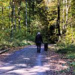 Urlaubskorb Hagener 40 - VHS Hagen