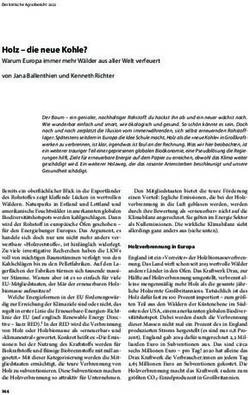 Holz - die neue Kohle? - Warum Europa immer mehr W&auml;lder aus aller Welt verfeuert - kritischer-agrarbericht.de