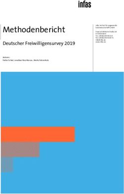 Methodenbericht Deutscher Freiwilligensurvey 2019