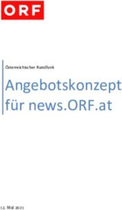 Angebotskonzept für news.ORF.at