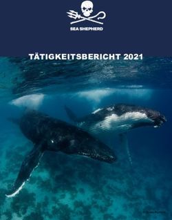 T&Auml;TIGKEITSBERICHT 2021 - Scott Portelli - Sea Shepherd
