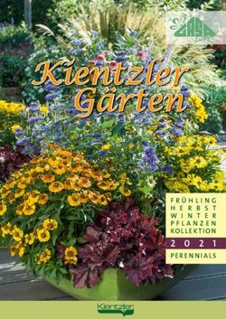 Kientzler G&auml;rten - KOLLEKTION - Gasa Group