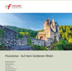 Flussreise - Auf dem Goldenen Rhein - Fischer Reisen