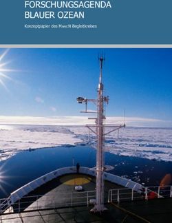 FORSCHUNGSAGENDA BLAUER OZEAN - Konzeptpapier des Mare:N Begleitkreises - Forschung für ...