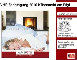 VHP Fachtagung 2010 K&uuml;ssnacht am Rigi - Andr&eacute; Brunner Herzlich willkommen - Speicherofen mit Luftwasserw&auml;rme-Tauscher