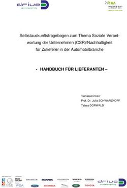 Selbstauskunftsfragebogen zum Thema Soziale Verant-wortung der Unternehmen (CSR)/Nachhaltigkeit für Zulieferer in der Automobilbranche ...
