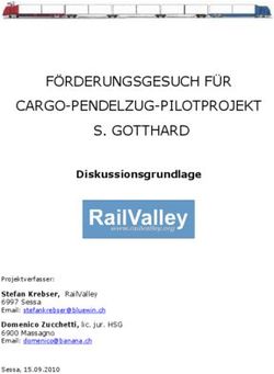 F&Ouml;RDERUNGSGESUCH F&Uuml;R CARGO-PENDELZUG-PILOTPROJEKT S. GOTTHARD