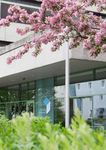 www.ph-ooe.at - Programm 2020/2021 Fortbildung f&uuml;r Lehrerinnen und Lehrer BMHS, BS - PH O&Ouml;