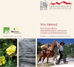 Via Sbrinz Das einzigartige Wandererlebnis zwischen Luzern und Domodossola - Auf den Spuren der Säumer.