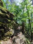 Tag des Wanderns Samstag, 14.05.2022 - Teilwanderung der "Stadt. Wald. Fluss."-Doppelpack-Tour