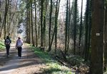 Tag des Wanderns Samstag, 14.05.2022 - Teilwanderung der "Stadt. Wald. Fluss."-Doppelpack-Tour