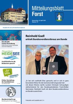 Reinhold Gsell erhielt Bundesverdienstkreuz am Bande - Gemeinde Forst
