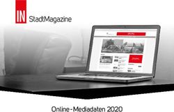 Online - Mediadaten 2020 - IN-Stadtmagazine