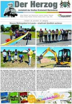 Neues Wohngebiet in Lauta - stadtnah ländlich wohnen