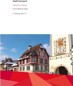 Stadt Sempach Verkehrsrichtplan