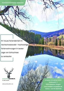 Ihr neues Feriendomizil im Hochschwarzwald - hochwertige Ferienwohnungen in bester Lage von Schluchsee zu verkaufen - hochwertige ...
