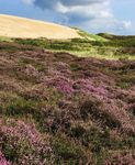 TOURISMUS FÜR SYLT MEHR. NACHHALTIGKEIT. WAGEN - Erlebniszentrum Naturgewalten