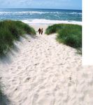 TOURISMUS FÜR SYLT MEHR. NACHHALTIGKEIT. WAGEN - Erlebniszentrum Naturgewalten