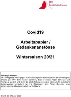 COVID19 ARBEITSPAPIER / GEDANKENANST&Ouml;SSE WINTERSAISON 20/21