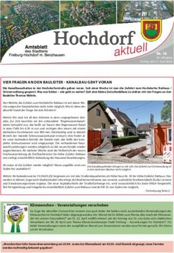 VIER FRAGEN AN DEN BAULEITER - KANALBAU GEHT VORAN - Freiburg.de