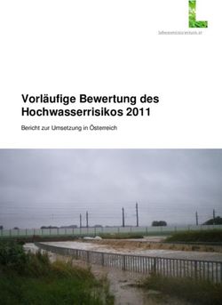 Vorl&auml;ufige Bewertung des Hochwasserrisikos 2011 - Bericht zur Umsetzung in &Ouml;sterreich