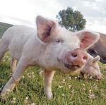 Landwirtschaft - FINK TEC GmbH