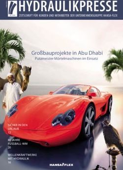 HYDRAULIKPRESSE Großbauprojekte in Abu Dhabi - ZEITSCHRIFT FÜR KUNDEN UND MITARBEITER DER UNTERNEHMENSGRUPPE HANSA-FLEX
