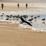 NORDSEE ZUSATZ-TERMIN - NACHFRAGE - Stiftungsfamilie