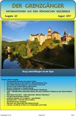 DER GRENZG&Auml;NGER - TU Chemnitz