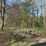 2020 75 Jahre Kriegsende 1945 2020 - Stadt Lingen (Ems)