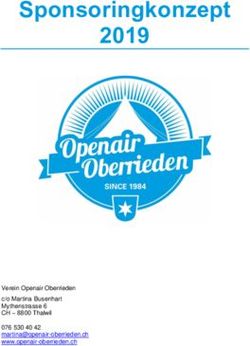 Sponsoringkonzept 2019 - Openair Oberrieden