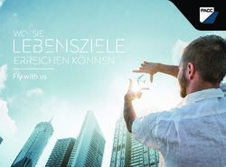 WO SIE LEBENSZIELE ERREICHEN K&Ouml;NNEN - FLY WITH US - FACC AG