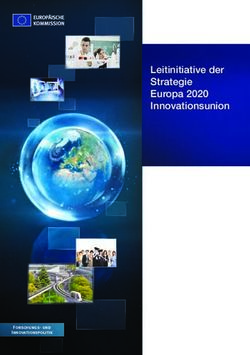 Leitinitiative der Strategie Europa 2020 Innovationsunion - KOINNO