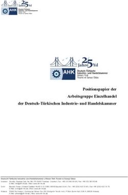 Positionspapier der Arbeitsgruppe Einzelhandel der Deutsch-T&uuml;rkischen Industrie- und Handelskammer