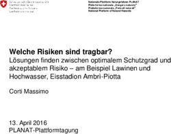 Welche Risiken sind tragbar? - Nationale Plattform ...