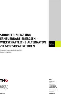 STROMEFFIZIENZ UND ERNEUERBARE ENERGIEN - WIRTSCHAFTLICHE ALTERNATIVE ZU GROSSKRAFTWERKEN - TNC ...