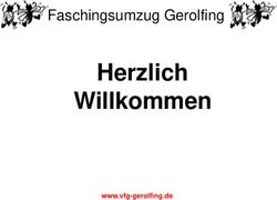 Herzlich Willkommen Faschingsumzug Gerolfing - www.vfg-gerolfing.de