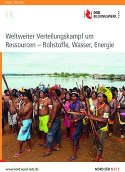 Weltweiter Verteilungskampf Um Ressourcen - Rohstoffe, Wasser, Energie ...