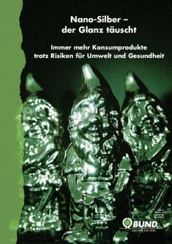 Nano-Silber - der Glanz täuscht - Immer mehr Konsumprodukte trotz Risiken für Umwelt und Gesundheit - Bund für Umwelt und ...