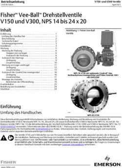 Fisher Vee-Ball Drehstellventile V150 Und V300, NPS 14 Bis 24 X 20 ...