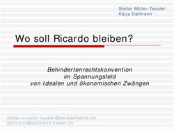 Wo soll Ricardo bleiben? - Behindertenrechtskonvention im Spannungsfeld von Idealen und &ouml;konomischen Zw&auml;ngen