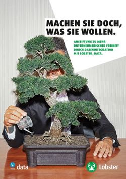 MACHEN SIE DOCH, WAS SIE WOLLEN - ANSTIFTUNG ZU MEHR UNTERNEHMERISCHER FREIHEIT DURCH DATENINTEGRATION MIT LOBSTER_DATA - Lobster GmbH