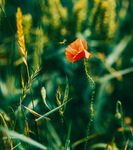 KLIMASCHUTZ - ALS KIRCHE AKTIV SEIN - REFERAT UMWELT - Umweltb&uuml;ro der ...