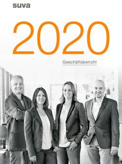 2020GESCHÄFTSBERICHT - STAN