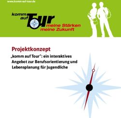 Projektkonzept "komm auf Tour": ein interaktives Angebot zur Berufsorientierung und Lebensplanung f&uuml;r Jugendliche