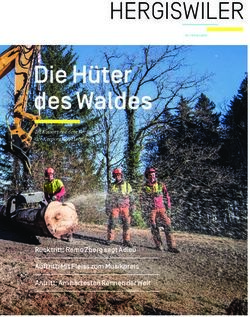 Die H&uuml;ter des Waldes HERGISWILER - Gemeinde Hergiswil