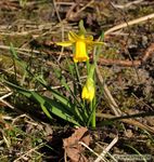 Mein Pflanzen-Buch 2020 - Smagy