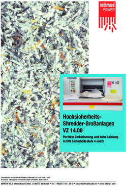 Hochsicherheits-Shredder-Großanlagen - VZ 14.00 Perfekte Zerkleinerung und hohe Leistung in DIN Sicherheitsstufe 4 und 5