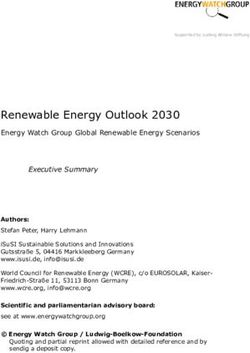 RENEWABLE ENERGY OUTLOOK 2030 - ISUSI