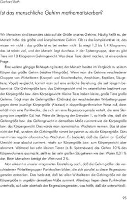 Ist das menschliche Gehirn mathematisierbar?